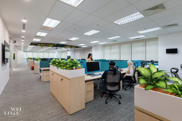 Open-plan workstations with natural light and soft materials at Blackmores Malaysia.