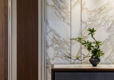 Marble Feature Wall at Park Regent Residence